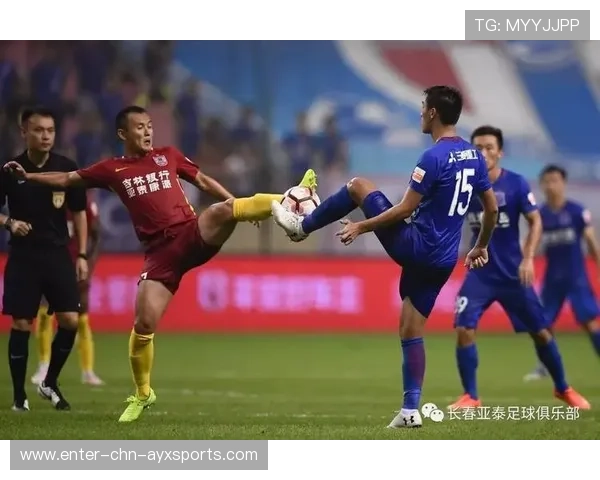 森林狼团队战术执行力获得教练认可